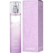 Aromatik