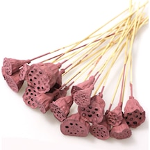 20 Adet Bambu Şiş Saplı Mini Lotus Çiçeği Plant Soft Pembe Gerçek Lotus