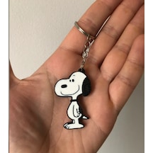 Çok Renkli