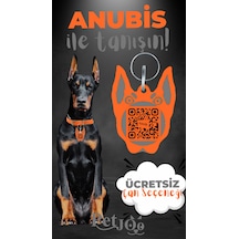 Petjoo 30.Anubis Gri-Turuncu Qr'lı Köpek Künyesi