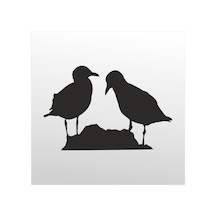 Folyo Sticker Kuşlar 50cm Uzunluk Siyah