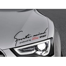 Modifiye Mind Kaput Üzerinde Araba Sticker Yapıştırması (350801726)