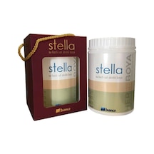 Stella Akrilik Dönüşüm Boyası Beyaz 1 Kg Diğer