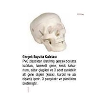 Kuru Kafa Maketi
