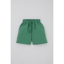 Mint Yeşili