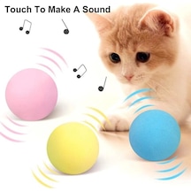 Sesli Akıllı Kedi Oyuncak Topu 5 CM