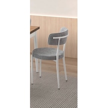 Gzd Metal Ayaklı Kumaş Salon Balkon Ve Mutfak Sandalyesi 1 Adet
