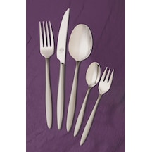 Yvonne Mat Solingen 96 Parça Kutulu Çatal Kaşık Bıçak Seti Füme