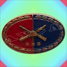 Uzman Erbaş Kita Hizmet Büyük 3 Yildiz Brove kırmızı - lacivert