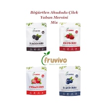 Fruvivo 4'lü Freeze Dry Paket - Böğürtlen + Ahududu + Yaban Mersini + Çilek Orman Meyveleri - Dondurularak Kurutulmuş Meyve Cipsi Şeker İlavesiz %100 Doğal Vegan 75 G