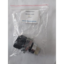 Telemecanique Sarı Eksiksiz Işıklı Mandal Buton
