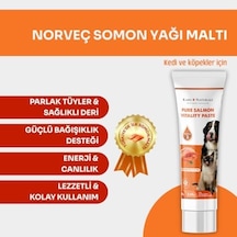 Kahu Naturals Somon Yağlı Malt, Omega-3 Epa & Dha İçerikli, Kedi Ve Köpek İçin, 100 G