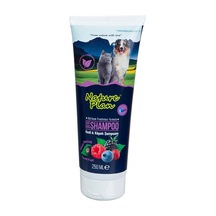 Nature Plan Orman Meyveli Tüp Şampuan 250 ML