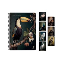 Gıpta A4 80 Yaprak Çizgili Natura Spiralli Karton Kapak Defter 7057000 Standart
