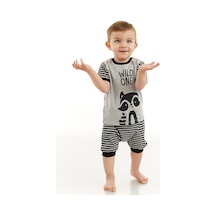 Denokids Rakun Erkek Bebek T-shirt Kısa Pantolon Takım Gri