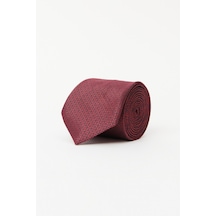 Ac&Co / Altınyıldız Classics Erkek Bordo Lacı Desenli Kravat Çok Renkli