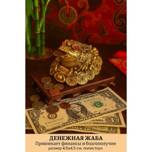 Simalend Para Kertenkeleleri 171112493