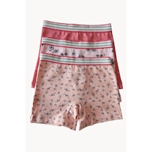 Arma Yıldız Karışık Renkli Kız Çocuk Desenli Boxer 3'lü Paket Pamuklu Likralı Çok Renkli