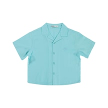 Mint Yeşili