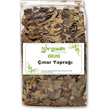 Çınar Yaprağı 100 gr