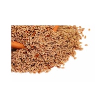 Cemilefendi Karnıyarık Tohumu 1 KG