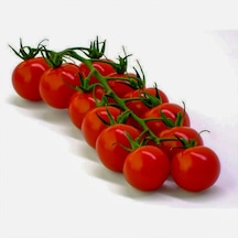 Cherry Çeri Pinpon Domates Tohumu250 Adet Paket