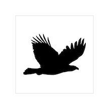 Kartal Folyo Sticker Derstv754 160cm Uzunluk Siyah