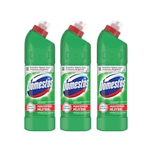Domestos Dağ Esintisi 806 Ml X 3 Tekli