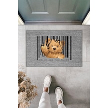 Rugmood Modern Dijital Baskı Paspas - Ayıcık Barkod Paspas - Kapı Önü Paspası 70x45cm Gri