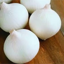 50 Adet Tohum Nadir Bulunan Beyaz Kışlık Kuru Soğan Tohumu Kuru Beyaz Soğan
