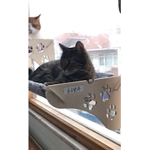 Ata Home Cama Asılan Kedi Yatağı Vantuzlu Sku: Zeus8690010268419