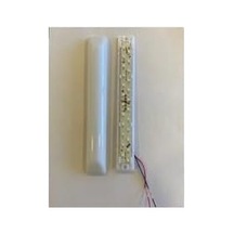 5 Adet 20cm 24v Dekoratif Tente & Pergola Led Oval Taban- 6500k Beyaz Işık Abanoz
