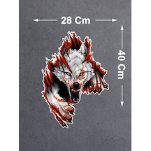 40x28 Cm