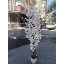 Rüzgar Yapay Çiçekçilik 180 Cm Beyaz Saksıda Beyaz Bahardali Ağacı Beyaz