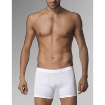 Angbutik Çi Ft Kaplan 810 Erkek Boxer Beyaz