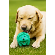 Özel Sesli Kirpi Köpek Oyuncağı Dayanıklı Ve Diş Kaşımalık 15cm
