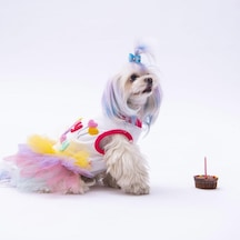 Happy Birthday Kedi Köpek Elbisesi - Kedi Köpek Kıyafeti
