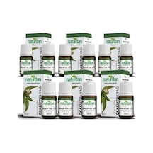 Okaliptus Yağı Eucalyptus Oil Yağı 20 Ml 9 Lü Set Diğer