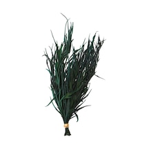 Dekoratif Kurutulmuş Yeşil Mini Bitki 20 Cm Gavellia Leaves Yeşil