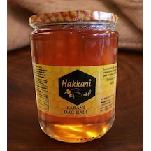 Gurmepark Hakkari Yabani Dağ Balı 460 G