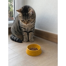 Pati Desen Model Beton Kedi Köpek Mama Ve Su Kabı 13 Cm Çap X 4 Cm - Bronz