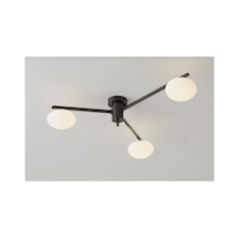 Mylights Retro Rustik Mataltın Salon Avize Metal Gövde Avize Tavan Avize Siyah