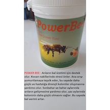 Bal Arıları için Vitaminli Oral Çözelti Power Bee 100 G