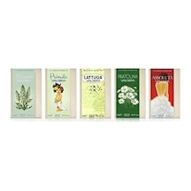 Valobra Reseda 130 Gram - Sabun 285 ML