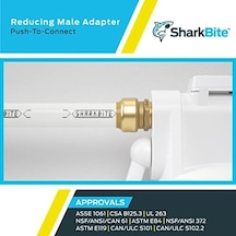 Sharkbite 1/4 İnç X 1/2 İnç Mnpt Azaltma Adaptörü, 6&apos Lı Paket, Pirinç Tesisat Armatürü, Pex Boru, Bakır, Cpvc, Pe-rt, Hdpe, U110lf