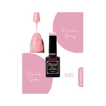 Adanil 15 ML Misyul Profesyonel Kalıcı Oje No:045