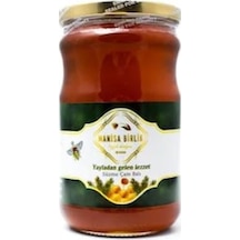 Manisa Birlik Süzme Çam Balı 850 G
