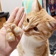 Tasma Kedi Şeffaf Anı Anahtarlığı - Kedi Figürlü - Karışık Model