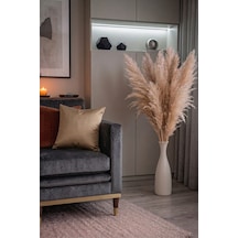 Dekoratif Pampas Çiçek 100cm 5 Adet Açık Bej