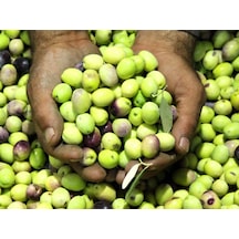 İzorya Taze Çizmelik Yeşil Zeytin (Mut Tipi) 5Kg.